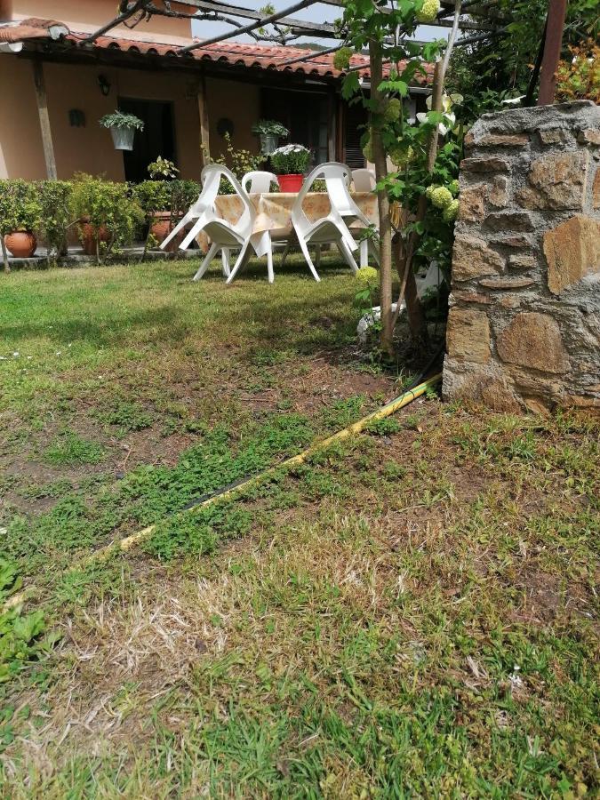 Apartment Litsa's House Platanias *